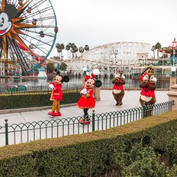 Celebrating Lunar New Year 2020: Year of the Rat