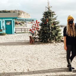 40 Question Q&A Challenge and The World’s Tallest Christmas Tree!